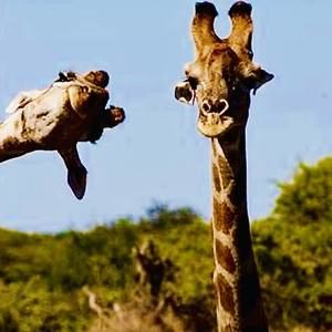 Meet your Posher, Wendy